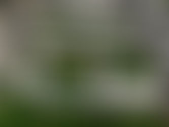 Oportunidades de crecimiento