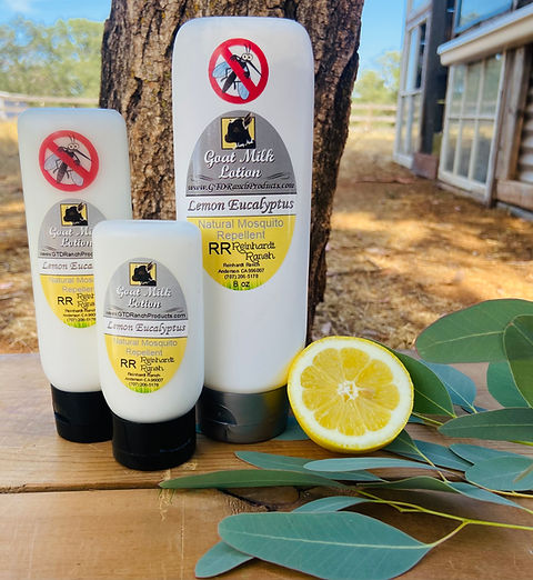 Lemon Eucalyptus Lotions | gtdranchproducts