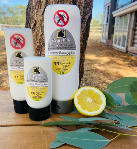Lemon Eucalyptus Lotions | gtdranchproducts