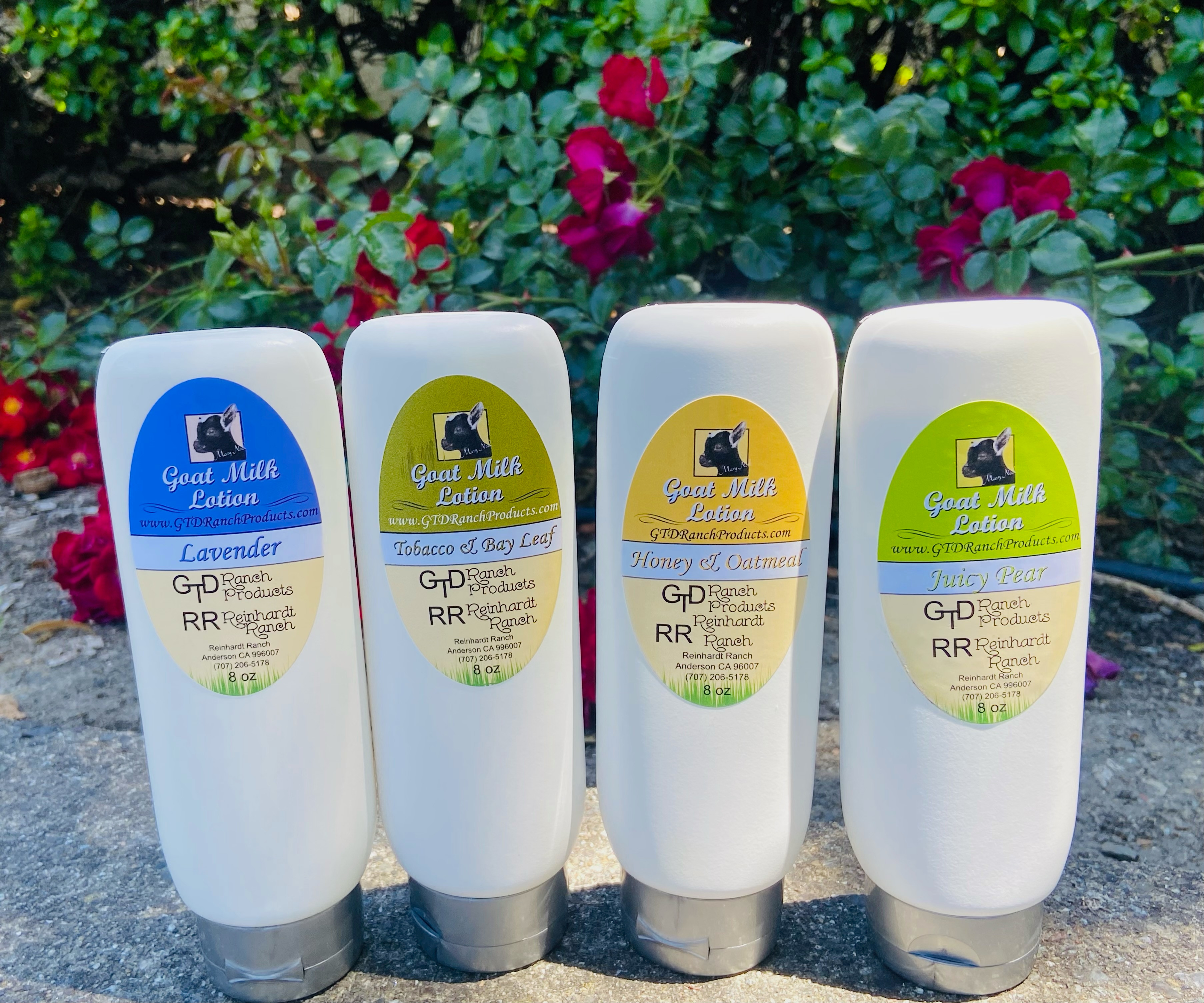 Lotions | gtdranchproducts