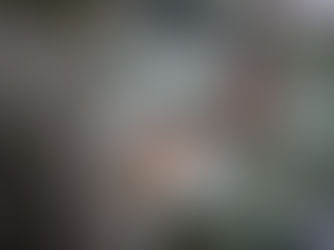 The Challenges of Being Multilingual in a Monolingual Society