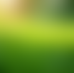 Seasonal Lawn Maintenance: Keep Your Grass Healthy