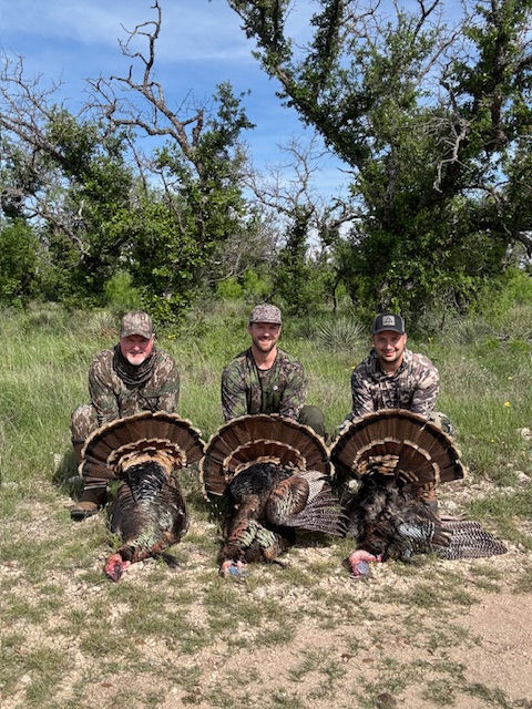 Rio Grande wild turkey standing in tall grass with Texas Hill Country brush in the background.