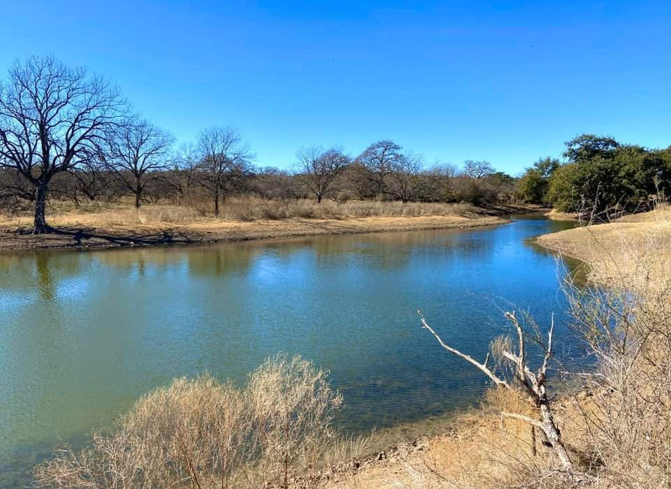 Texas hunting ranch landscape — Hill Country terrain with mesquite brush and live oaks at golden hour