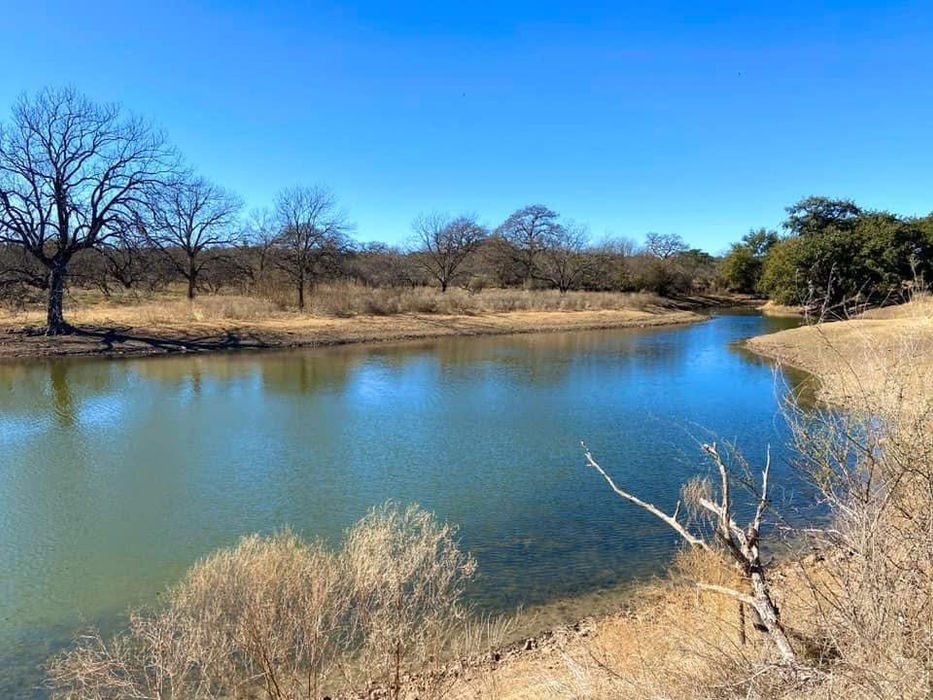 Texas hunting ranch landscape — Hill Country terrain with mesquite brush and live oaks at golden hour