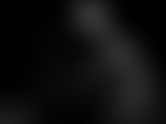 The 5 Largest Crypto Fraud Cases in History