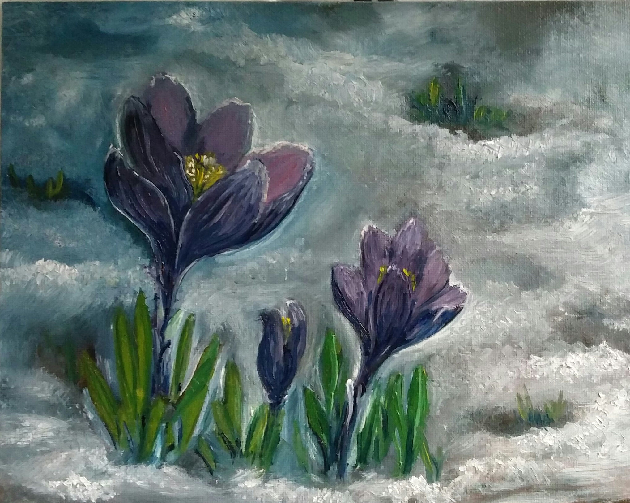 First flowers 20.3x25.4 cm