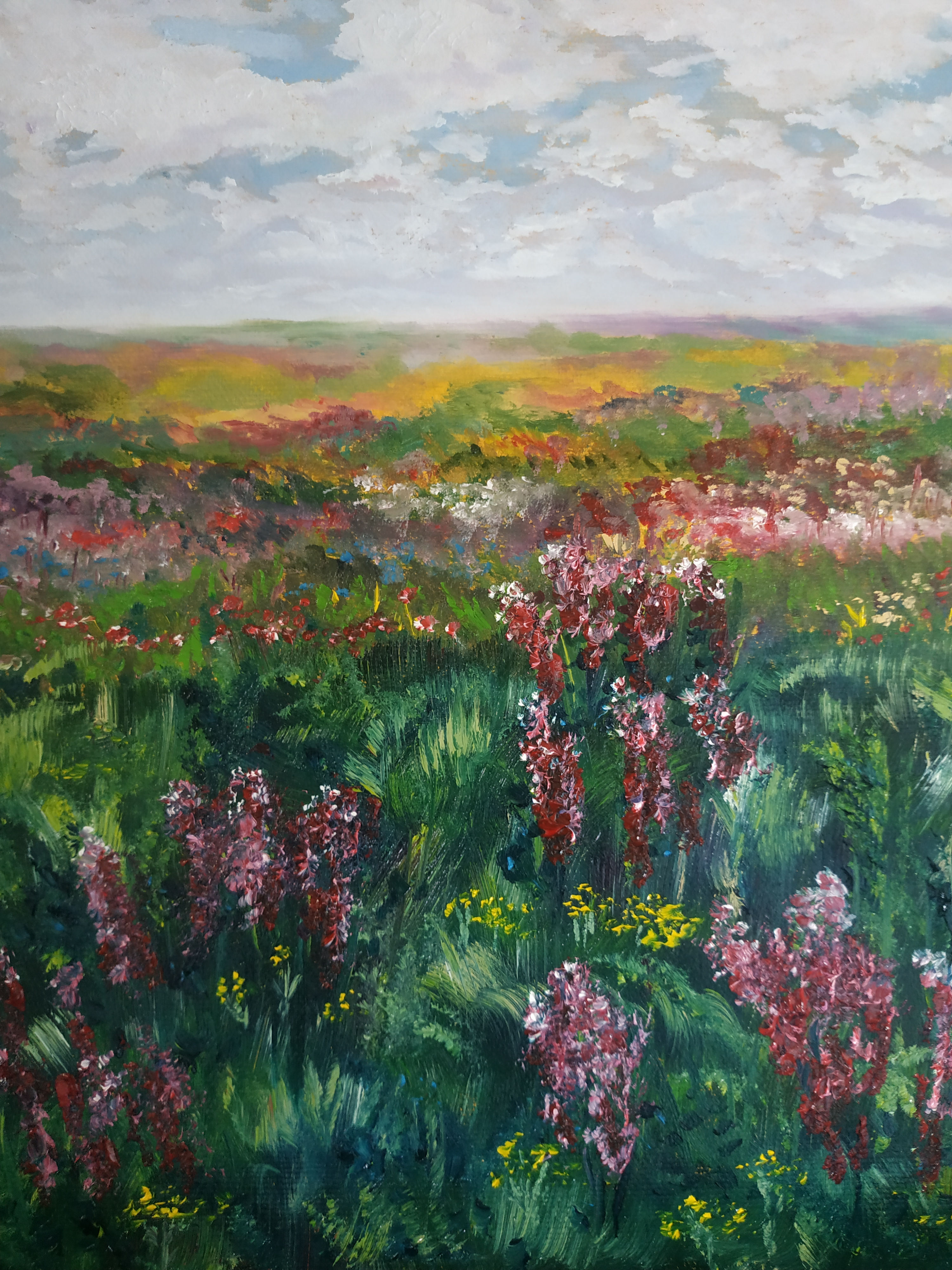 Field 20.3x25.4 cm