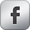 Facebook Metallic 