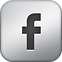 Facebook Metallic 