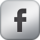 Facebook Metallic