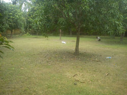 IMG_20120915_164923.jpg