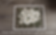 Thumbnail: Pressed Floral Preservation