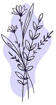 logo no border (1).png