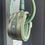 Miniatura: Leash Surf FCS All Round Essential 6ft 7mm Eco Green Verde