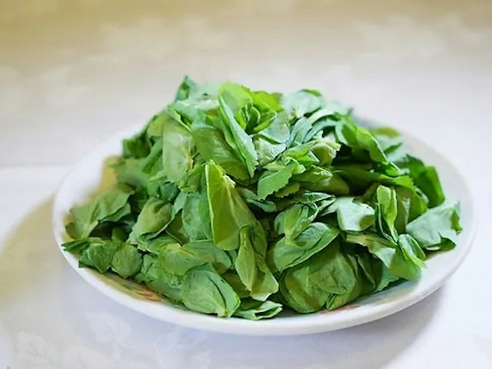 豆苗 Pea Sprouts