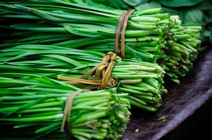 韮菜 Garlic chives