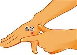 合谷 (虎口)
