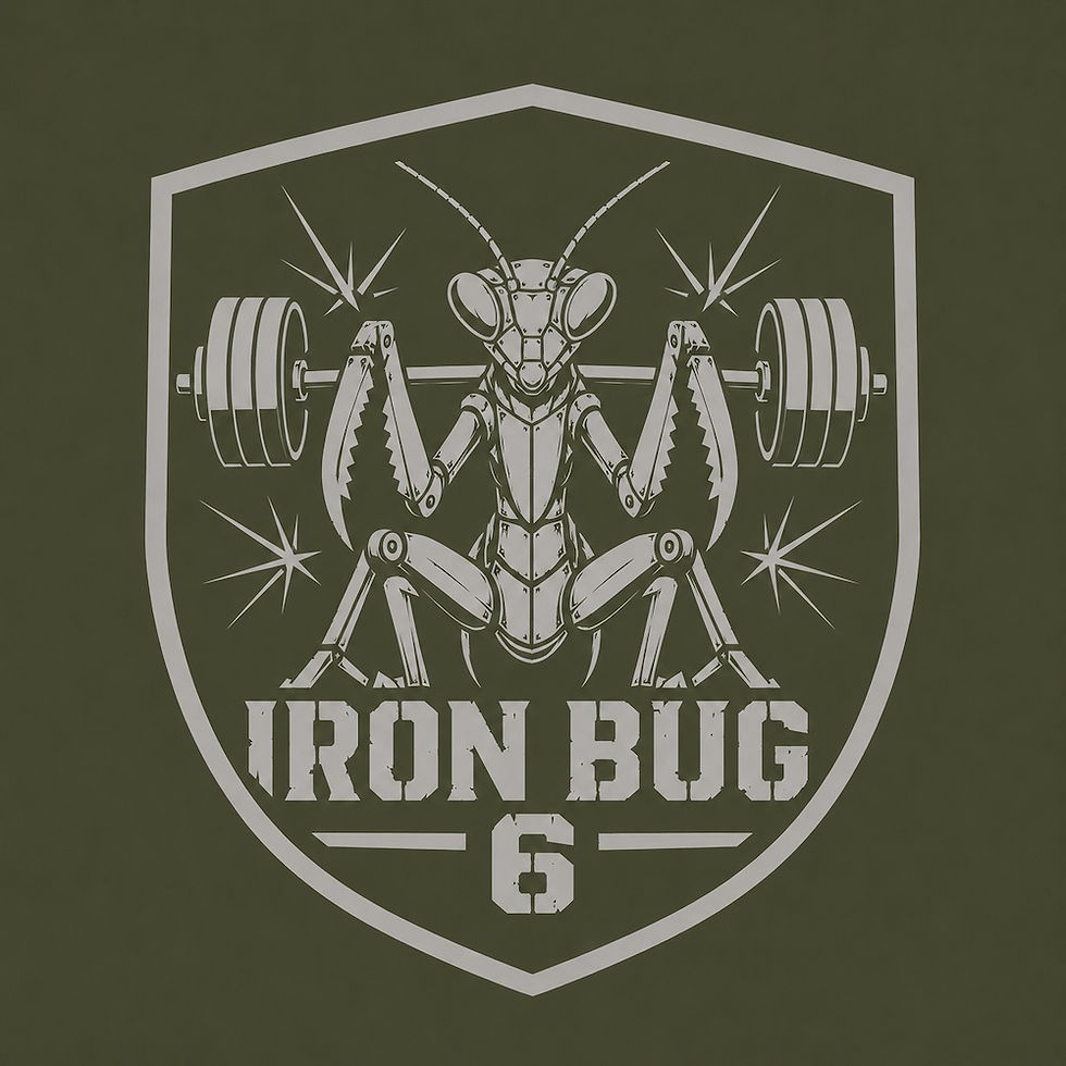 Iron Bug 6
