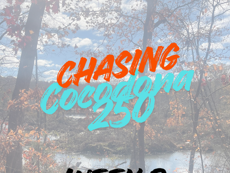 ⭐ CHASING COCODONA 250 @ 60