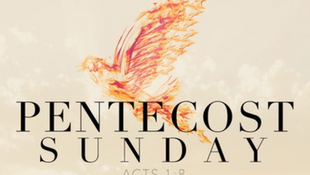 Reflection on Pentecost Sunday