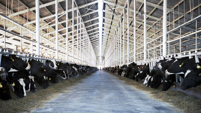 The Milk System ja maitolitran todellinen hinta