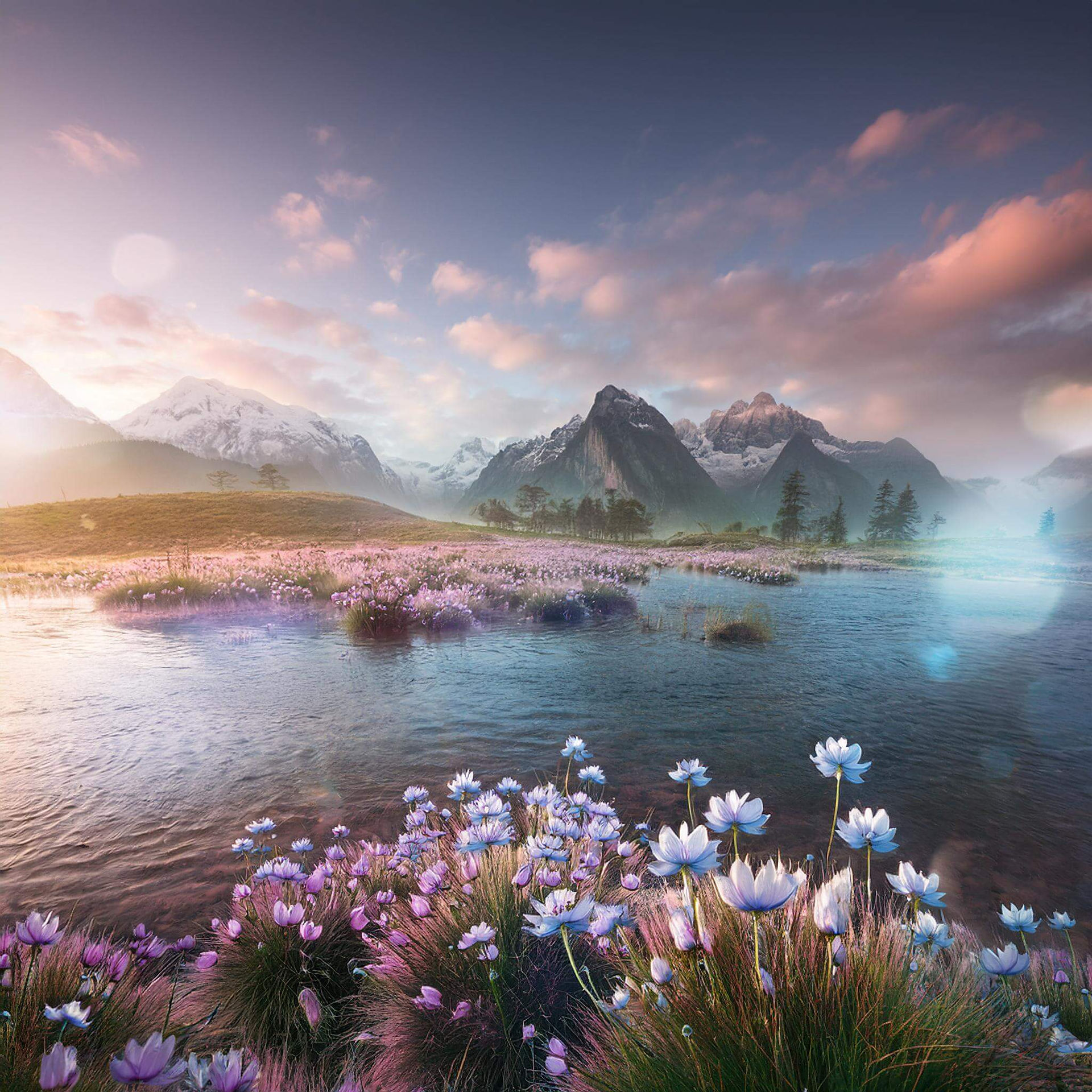 Example of an ambient background video
