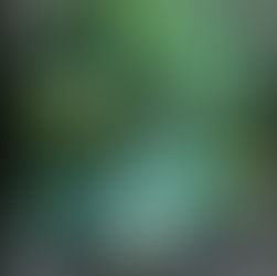 The Power of Sound: Unleashing the Potential of Sonic Marketing in 2024