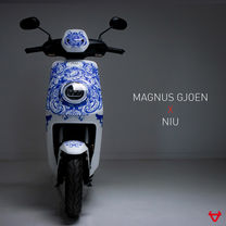 MAGNUS GJOEN NIU.jpeg