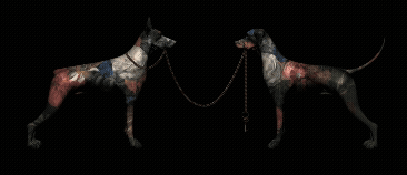 THE SHADOWS OUTLIVE THE FLESH.gif