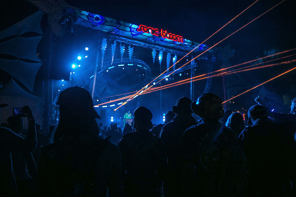 Sonic Bloom 2017