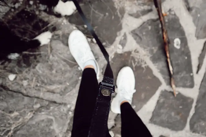 Miniature : COOPER Dogs Leine BLACK EDITION