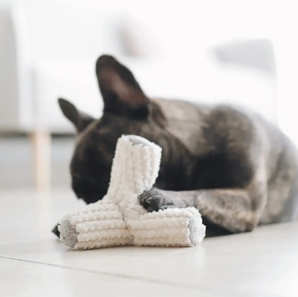 Miniaturbild: Hundespielzeug "Breuer"