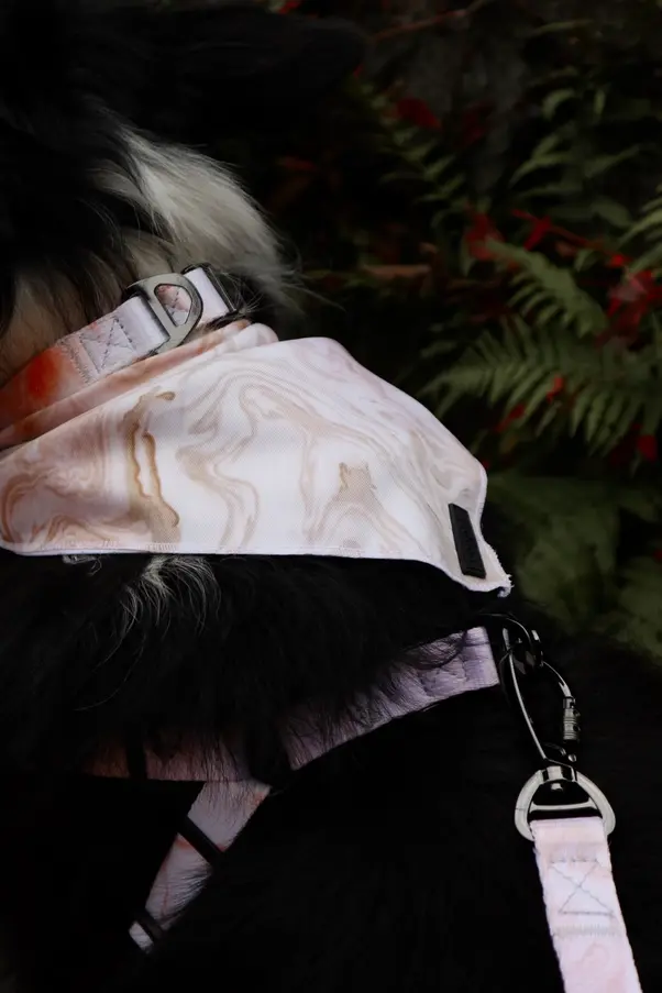 Thumbnail: COOPER Dogs Leine Sunset