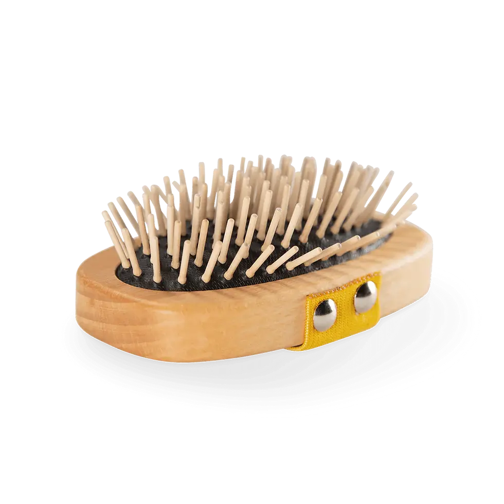 Thumbnail: BUDDY. Fellbürsten