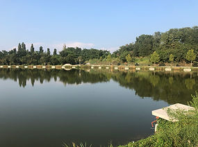 foto 01-09-19, 17 52 04.jpg