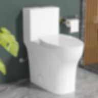 17" One Piece Toilet Full Covered - Dual Flush