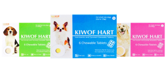 犬のお薬ランキング ペットくすり