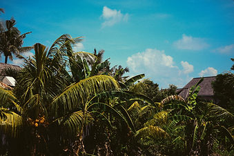 DSC_8771.jpg