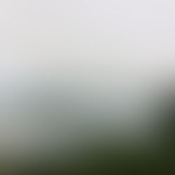 Afi Mountain Wildlife Sanctuary, Cross River State