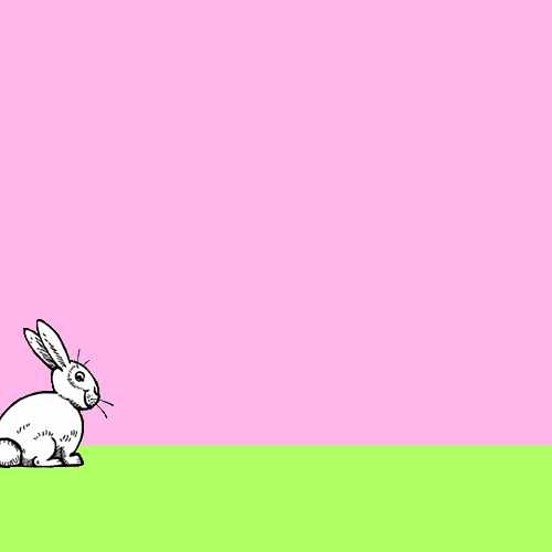 bunnies.gif