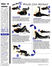 5 Minute Core Workout