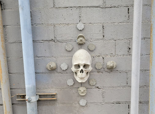 "A Plague Upon Both Your Houses"