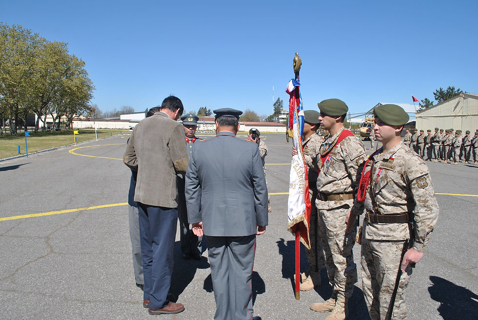 Condecora Estandarte Bave.jpg