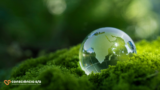 Empresa Consciente: ESG como Diferencial Competitivo