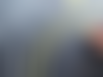 Gestão em Organizações Modernas