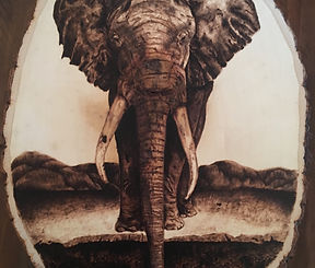 Pyro Elephant (2018)