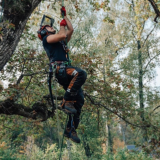 climbing photo