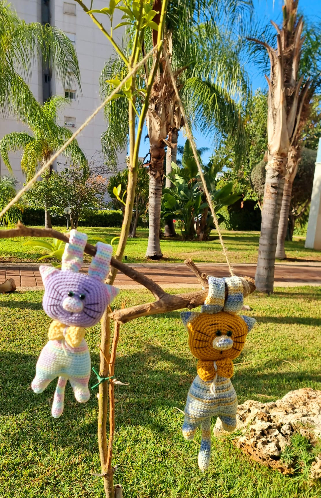 חתולים על ענף