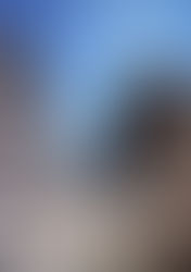 Manuel Clemente Rojo, Apuntes históricos de la frontera de la Baja California